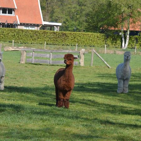 Erve Grootenhuys Deurningen Esterno foto