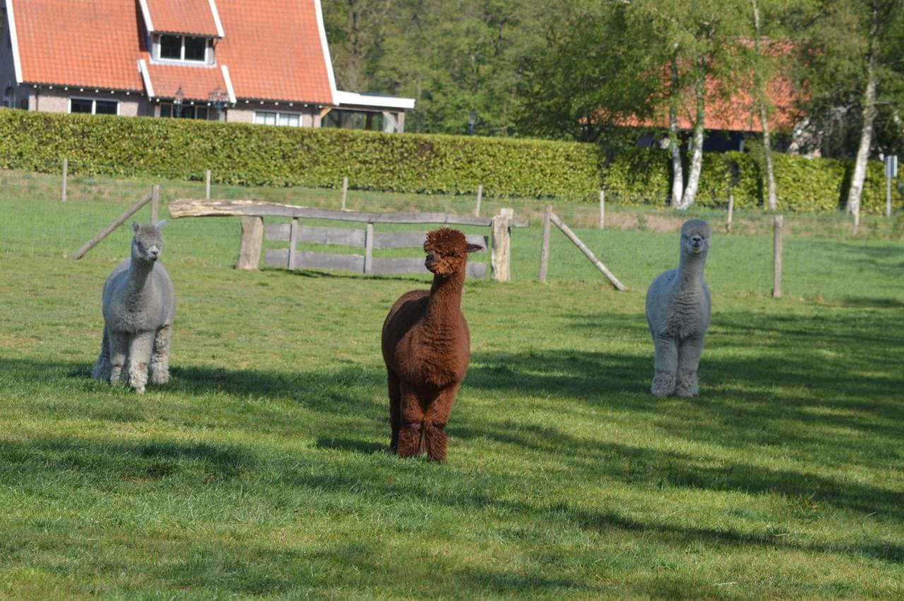 Erve Grootenhuys Deurningen Esterno foto